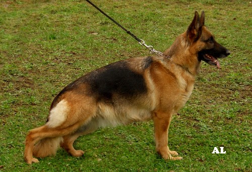Eliza.v.Oxsalis03
