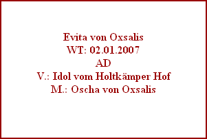 Evita von Oxsalis
WT: 02.01.2007
AD
V.: Idol vom Holtkmper Hof
M.: Oscha von Oxsalis