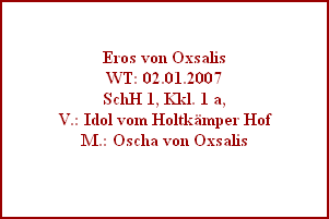 Eros von Oxsalis
WT: 02.01.2007
SchH 1, Kkl. 1 a,
V.: Idol vom Holtkämper Hof
M.: Oscha von Oxsalis