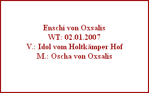 Enschi von Oxsalis
WT: 02.01.2007
V.: Idol vom Holtkmper Hof
M.: Oscha von Oxsalis