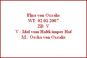 Eliza von Oxsalis
WT: 02.01.2007
ZB: V
V.: Idol vom Holtkmper Hof
M.: Oscha von Oxsalis