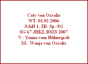 Caty von Oxsalis
WT: 01.02.2006
SchH 1, ZB: Sp.-SG
SG 67 JHKL BSZS 2007
V.: Yenno vom Hühnegrab
M.: Wanja von Oxsalis
