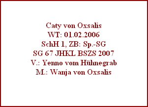 Caty von Oxsalis
WT: 01.02.2006
SchH 1, ZB: Sp.-SG
SG 67 JHKL BSZS 2007
V.: Yenno vom Hhnegrab
M.: Wanja von Oxsalis