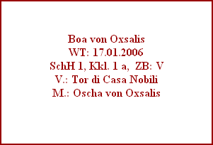 Boa von Oxsalis
WT: 17.01.2006
SchH 1, Kkl. 1 a,  ZB: V
V.: Tor di Casa Nobili
M.: Oscha von Oxsalis