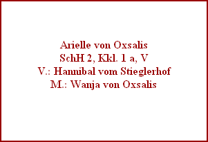 Arielle von Oxsalis
SchH 2, Kkl. 1 a, V
V.: Hannibal vom Stieglerhof
M.: Wanja von Oxsalis