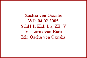 Zaskia von Oxsalis
WT: 04.02.2005
SchH 1, Kkl. 1 a, ZB: V
V.: Larus von Batu
M.: Oscha von Oxsalis