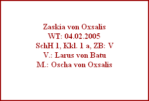 Zaskia von Oxsalis
WT: 04.02.2005
SchH 1, Kkl. 1 a, ZB: V
V.: Larus von Batu
M.: Oscha von Oxsalis