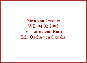 Ziwa von Oxsalis
WT: 04.02.2005
V.: Larus von Batu
M.: Oscha von Oxsalis