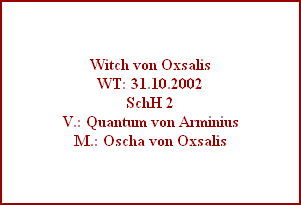 Witch von Oxsalis
WT: 31.10.2002
SchH 2
V.: Quantum von Arminius
M.: Oscha von Oxsalis