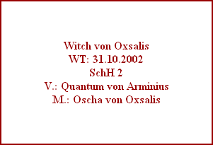 Witch von Oxsalis
WT: 31.10.2002
SchH 2
V.: Quantum von Arminius
M.: Oscha von Oxsalis