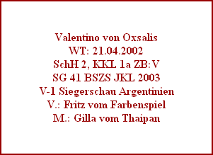 Valentino von Oxsalis
WT: 21.04.2002
SchH 2, KKL 1a ZB:V
SG 41 BSZS JKL 2003
V-1 Siegerschau Argentinien
V.: Fritz vom Farbenspiel
M.: Gilla vom Thaipan