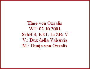 Ulme von Oxsalis
WT: 02.10.2001
SchH 3, KKL 1a ZB: V
V.: Dux della Valcuvia
M.: Dunja von Oxsalis
