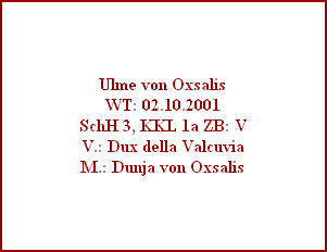 Ulme von Oxsalis
WT: 02.10.2001
SchH 3, KKL 1a ZB: V
V.: Dux della Valcuvia
M.: Dunja von Oxsalis