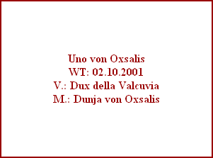 Uno von Oxsalis
WT: 02.10.2001
V.: Dux della Valcuvia
M.: Dunja von Oxsalis