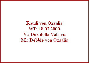 Raudi von Oxsalis
WT: 18.07.2000
 V.: Dux della Valcivia
M.: Debbie von Oxsalis