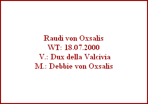 Raudi von Oxsalis
WT: 18.07.2000
 V.: Dux della Valcivia
M.: Debbie von Oxsalis