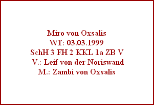 Miro von Oxsalis
WT: 03.03.1999
SchH 3 FH 2 KKL 1a ZB V
 V.: Leif von der Noriswand
M.: Zambi von Oxsalis