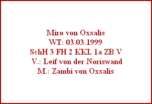 Miro von Oxsalis
WT: 03.03.1999
SchH 3 FH 2 KKL 1a ZB V
 V.: Leif von der Noriswand
M.: Zambi von Oxsalis