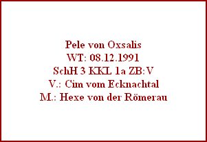 Pele von Oxsalis
WT: 08.12.1991
SchH 3 KKL 1a ZB:V
V.: Cim vom Ecknachtal
M.: Hexe von der Rmerau