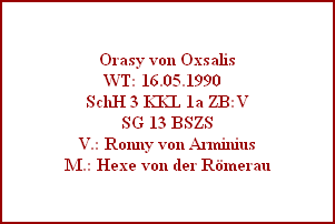 Orasy von Oxsalis
WT: 16.05.1990  
SchH 3 KKL 1a ZB:V
SG 13 BSZS
V.: Ronny von Arminius
M.: Hexe von der Römerau