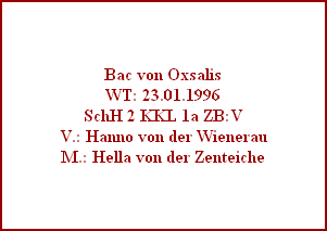 Bac von Oxsalis
WT: 23.01.1996
SchH 2 KKL 1a ZB:V
V.: Hanno von der Wienerau
M.: Hella von der Zenteiche