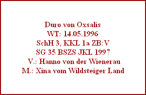 Duro von Oxsalis
WT: 14.05.1996
SchH 3, KKL 1a ZB:V
SG 35 BSZS JKL 1997
 V.: Hanno von der Wienerau
M.: Xina vom Wildsteiger Land