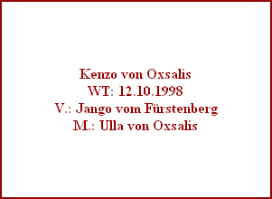 Kenzo von Oxsalis
WT: 12.10.1998
V.: Jango vom Frstenberg
M.: Ulla von Oxsalis