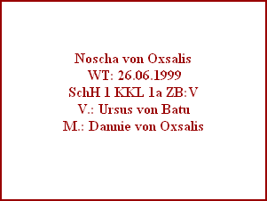 Noscha von Oxsalis
 WT: 26.06.1999
SchH 1 KKL 1a ZB:V
V.: Ursus von Batu
M.: Dannie von Oxsalis