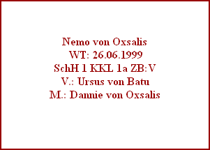 Nemo von Oxsalis
 WT: 26.06.1999
SchH 1 KKL 1a ZB:V
V.: Ursus von Batu
M.: Dannie von Oxsalis
