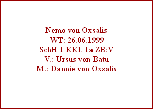 Nemo von Oxsalis
 WT: 26.06.1999
SchH 1 KKL 1a ZB:V
V.: Ursus von Batu
M.: Dannie von Oxsalis