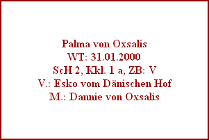 Palma von Oxsalis
WT: 31.01.2000
ScH 2, Kkl. 1 a, ZB: V
V.: Esko vom Dnischen Hof
M.: Dannie von Oxsalis