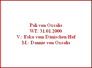 Pali von Oxsalis
WT: 31.01.2000
V.: Esko vom Dänischen Hof
M.: Dannie von Oxsalis