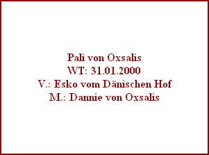 Pali von Oxsalis
WT: 31.01.2000
V.: Esko vom Dnischen Hof
M.: Dannie von Oxsalis