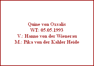 Quine von Oxsalis
WT: 05.05.1993
V.: Hanno von der Wienerau
M.: Pika von der Kahler Heide