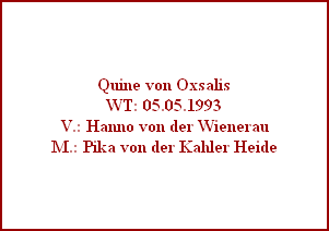 Quine von Oxsalis
WT: 05.05.1993
V.: Hanno von der Wienerau
M.: Pika von der Kahler Heide