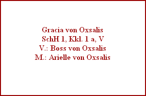 Gracia von Oxsalis
SchH 1, Kkl. 1 a, V
V.: Boss von Oxsalis
M.: Arielle von Oxsalis